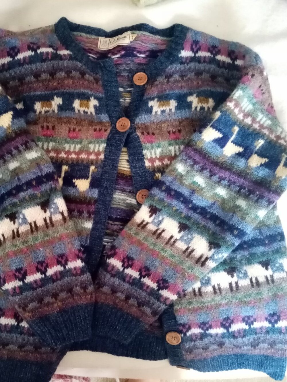 Vintage L.L. Bean Wool Cardigan